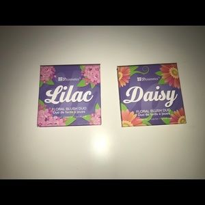 Blush/high light palettes